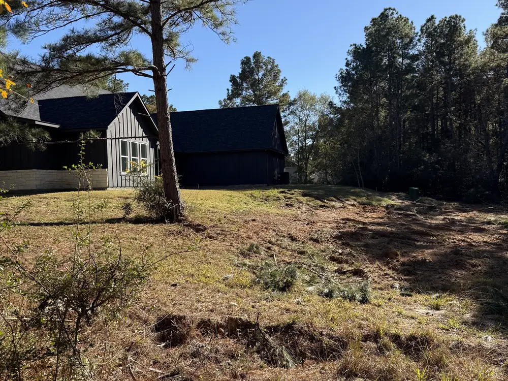 Rough uneven ground behind a dark board and batten house, patchy grass, cut pine brush lying across the slope