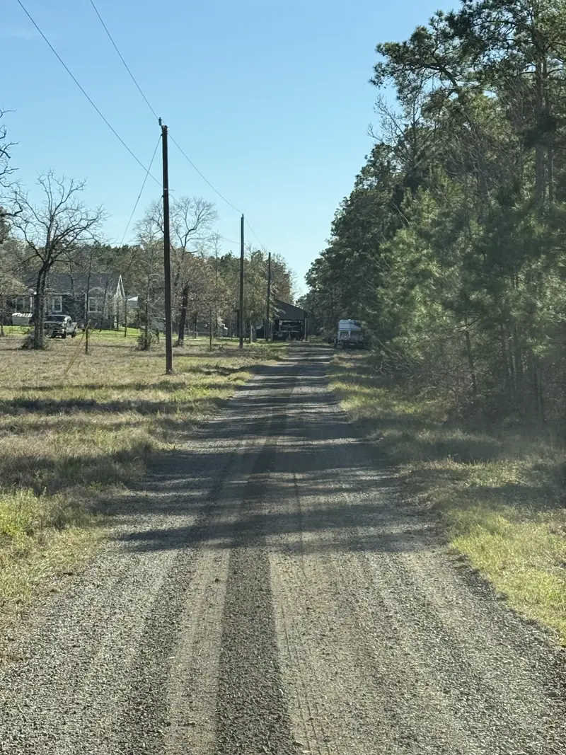 Long straight milled asphalt drive with a pine treeline on one side and open pasture and power poles on the other