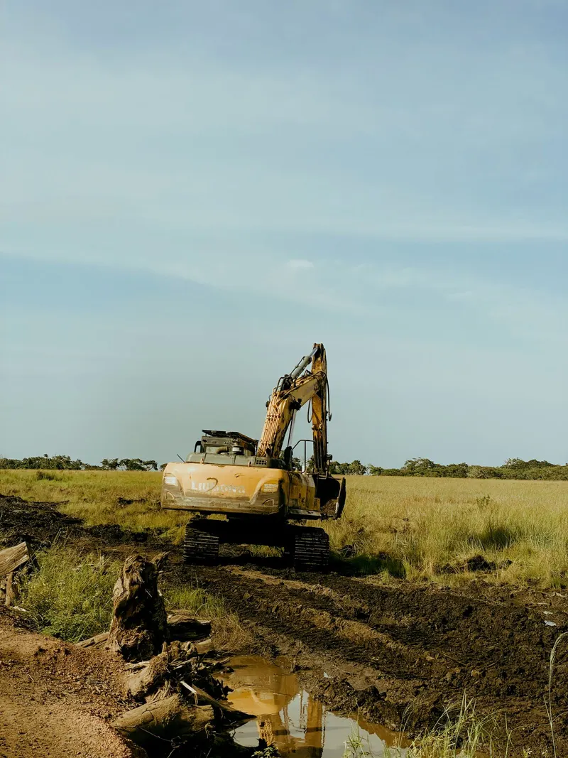 Excavator working through an overgrown grass field