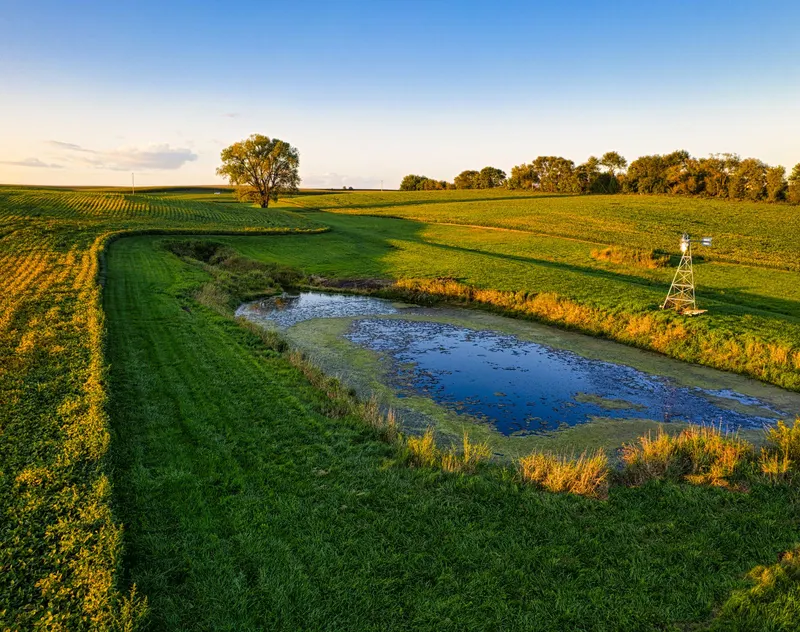 Finished farm pond surrounded by green fields at sunset