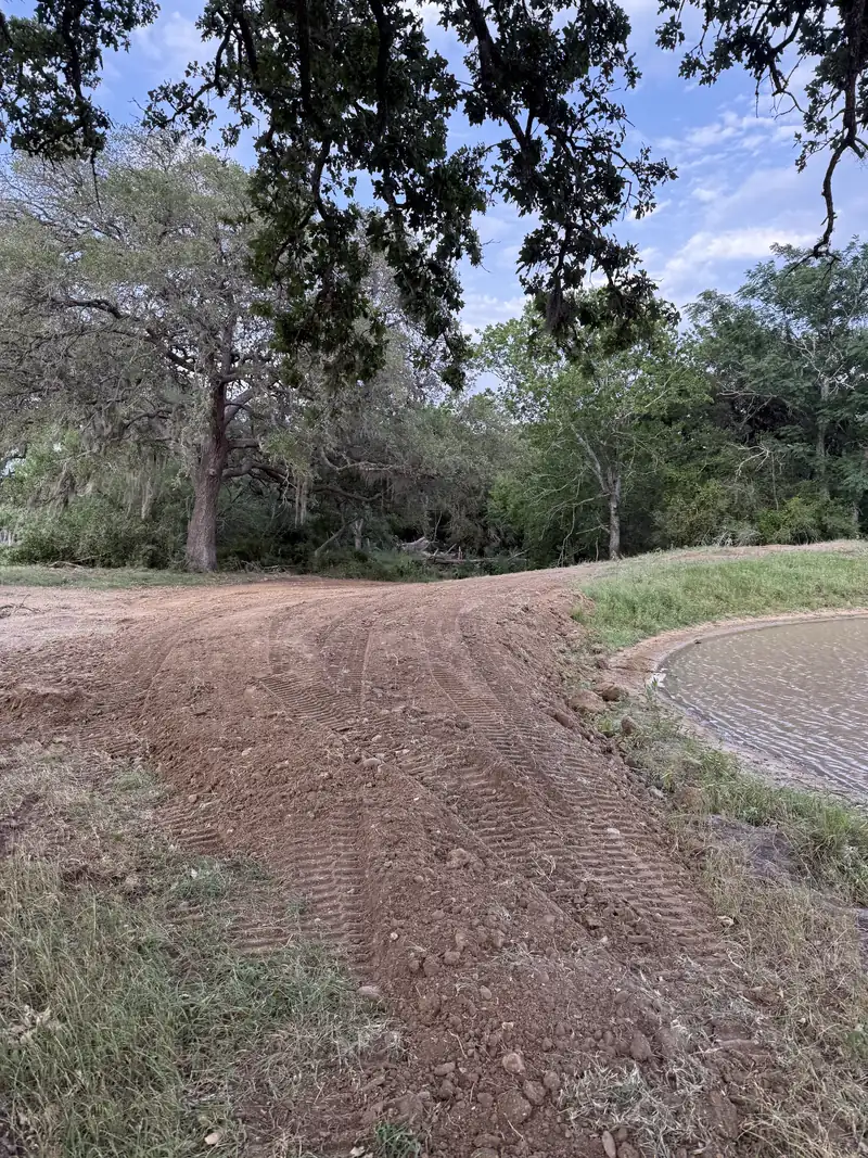 Compacted dirt road curving around the edge of a pond beneath a large live oak draped in Spanish moss
