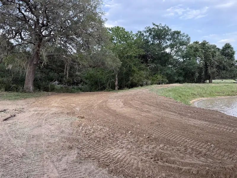 Compacted dirt road rebuilt along a pond bank beneath large live oaks, water at the edge of the frame